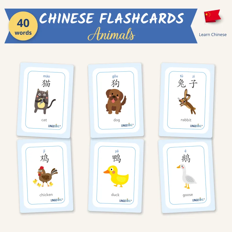 Chinese animal flashcards, 40 words in 4 card types - LINGOXING