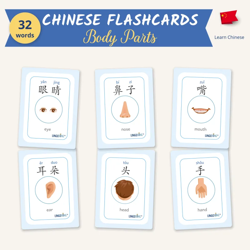 Chinese body parts flashcards, 32 words in 4 card types - LINGOXING