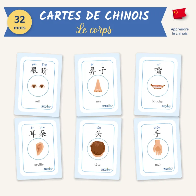Cartes du corps en chinois, 32 mots en 4 types de cartes - LINGOXING