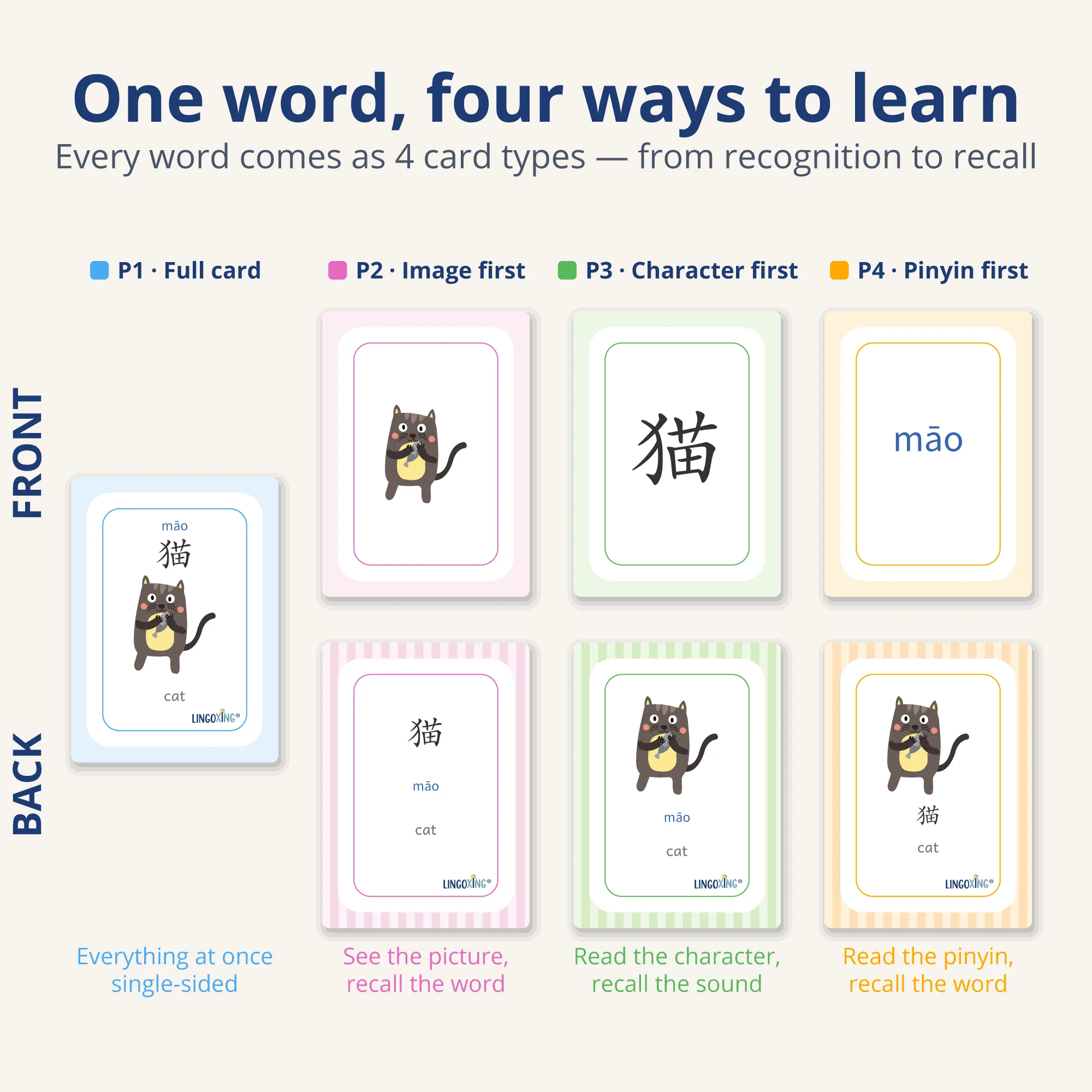 Chinese Animal Flashcards — 40 Words (PDF) — card types