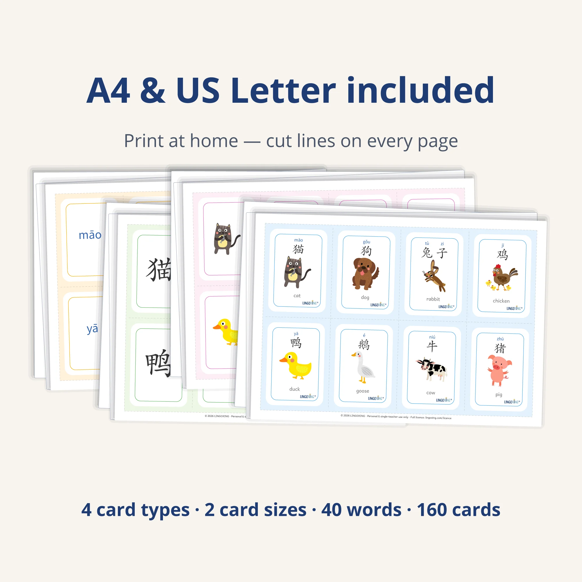 Chinese Animal Flashcards — 40 Words (PDF) — printable pages