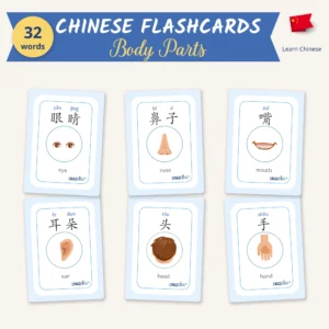 Chinese Body Parts Flashcards — 32 Words (PDF)