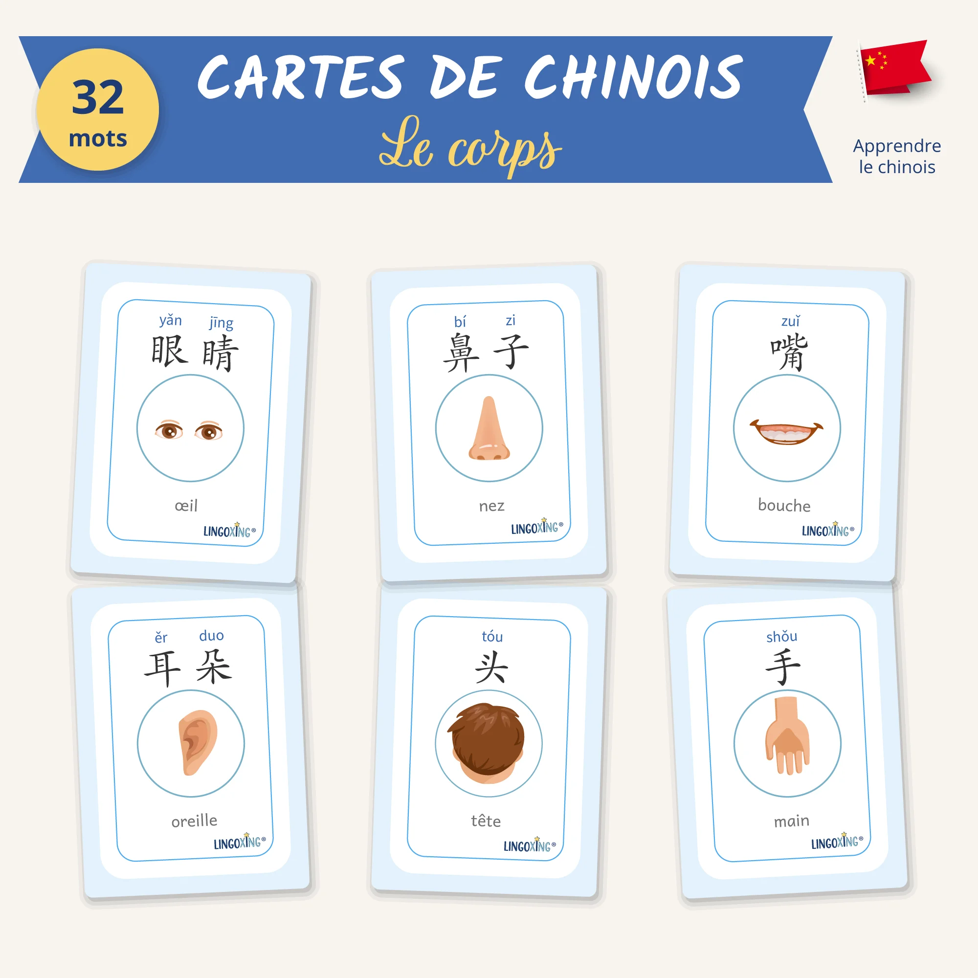 Le corps en chinois — 32 mots (PDF)