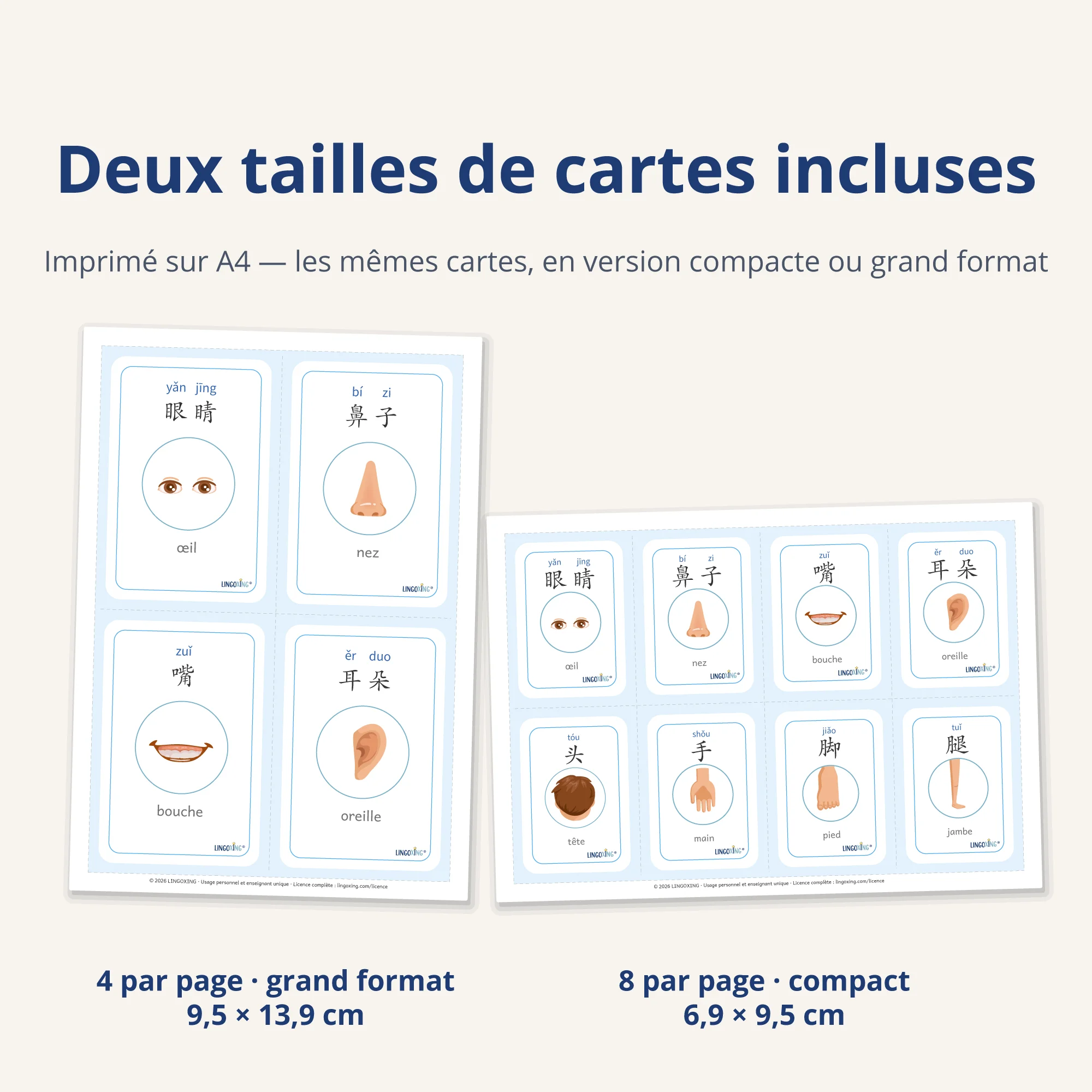 Le corps en chinois — 32 mots (PDF) — deux formats · A4