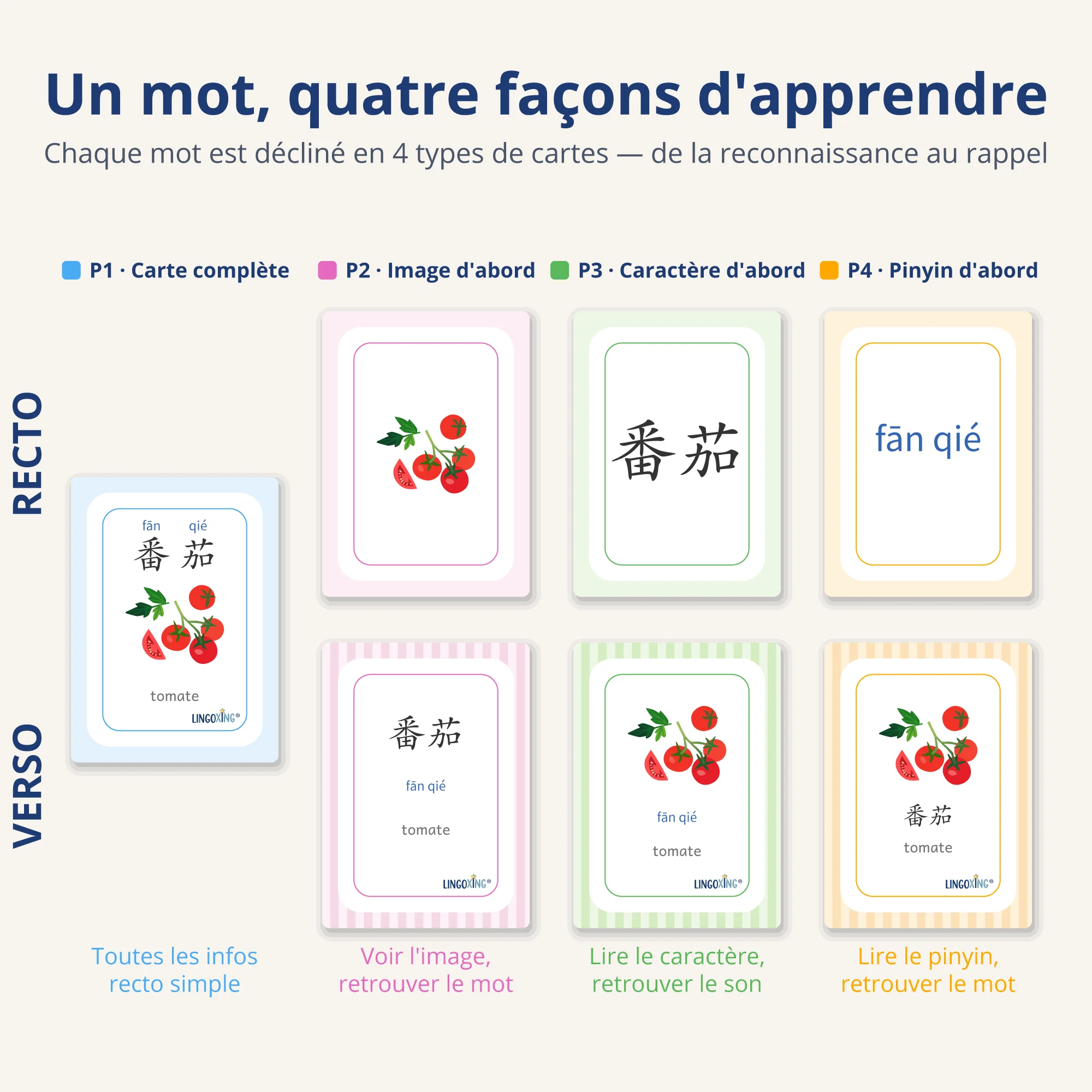 Les légumes en chinois — 24 mots (PDF) — types de cartes